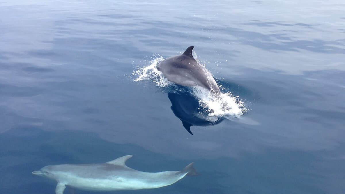 Kanela Tours Gallery Image 15